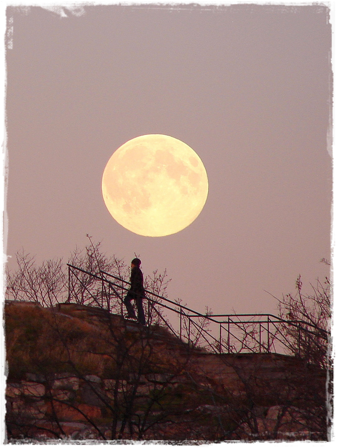 Digitaalinen kannatustuote